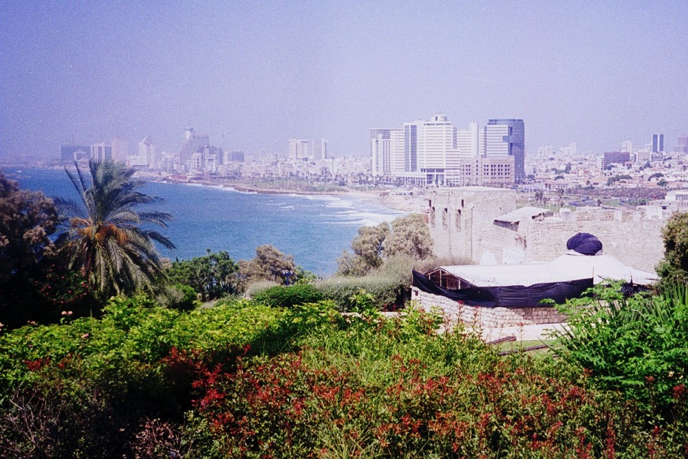 The mediterranean coast of Israel