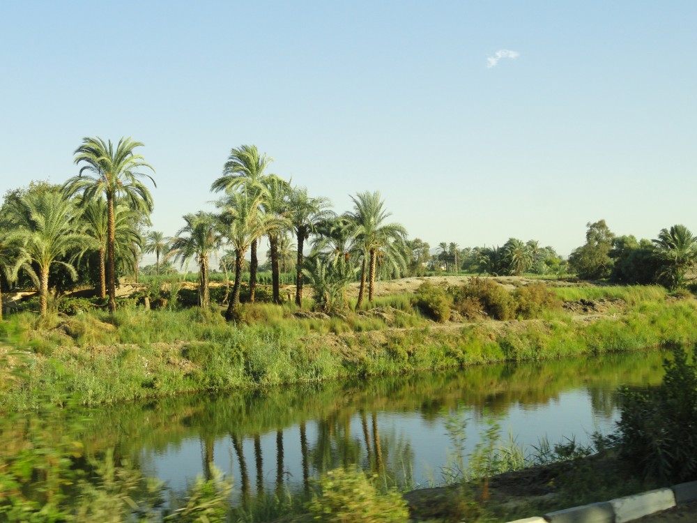 Fertile land in the Nile valley