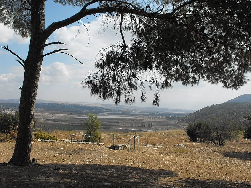 Jezreel valley from Tel Yisreal  ( ×¦×™×œ×•×: ××™×œ× ×” ×©×§×•×œ× ×™×§ - Ilana Shkolnik)