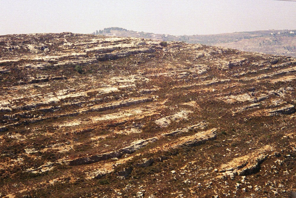 Rocky ground in the Judaean hills
