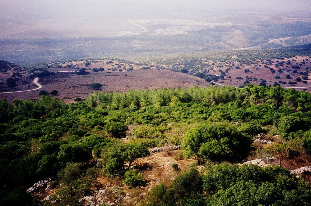 Central Hill Country of Palestine