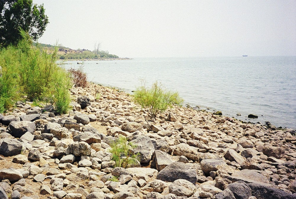 Shore of the Sea of Galilee at Mensa Christi