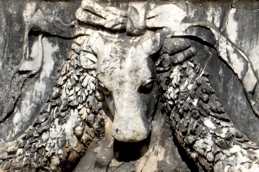 Garlanded bull, Ephesus