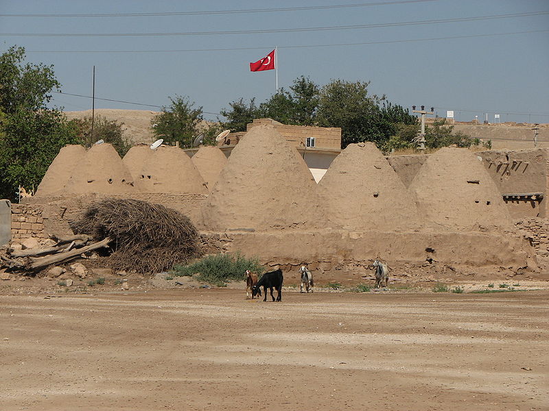 Beehive Houses in Haran