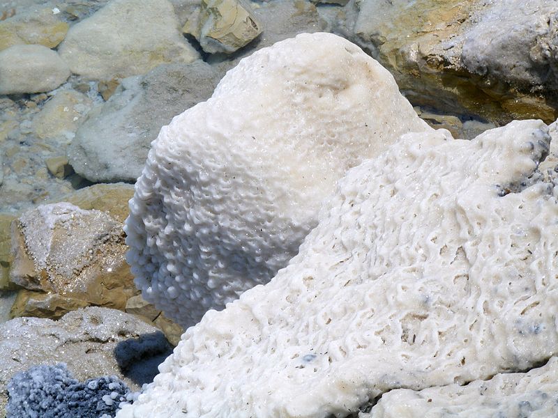 A salt-covered rock beside the Dead Sea 