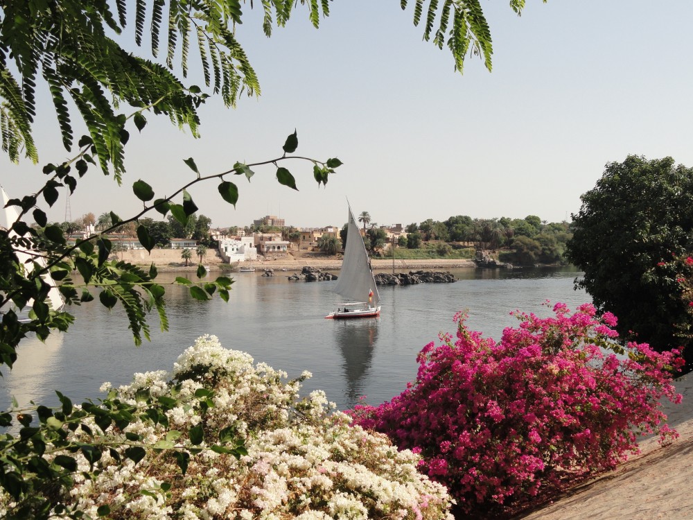 River Nile at Aswan