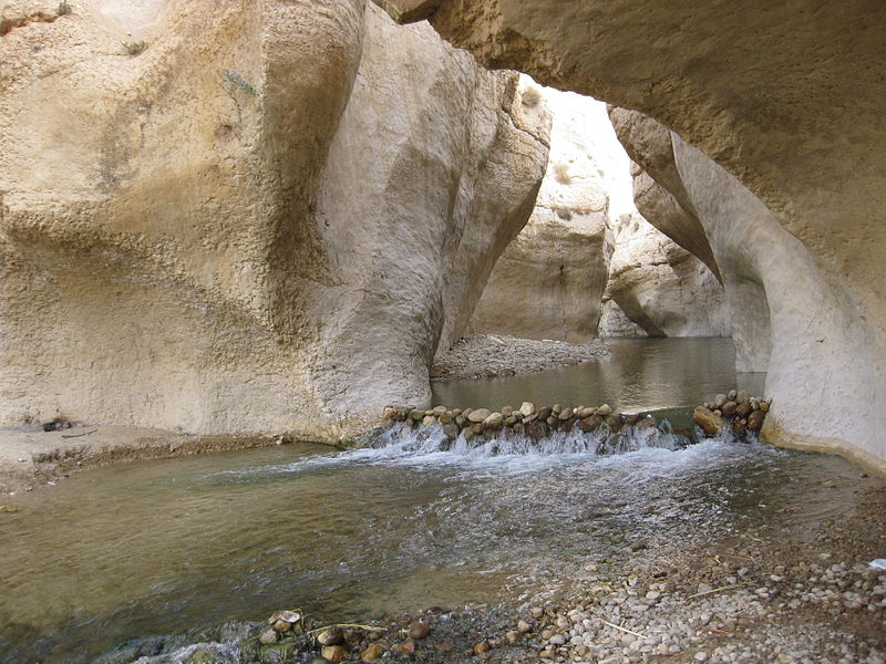 Wadi Zered (Kerem bm)
