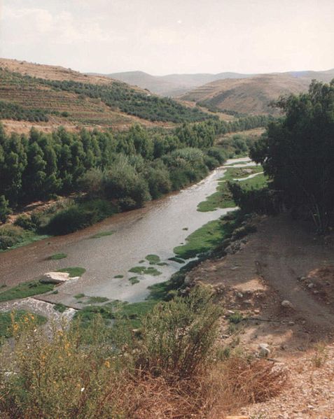 River Jabbok near Mahanaim  (Dr.Meierhofer)