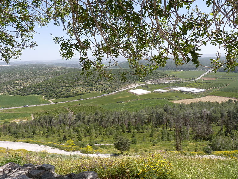 The Elah Valley near Beth Shemesh