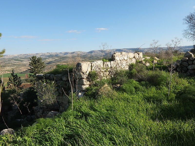 Adullam, the hilltop ruin (Davidbena)