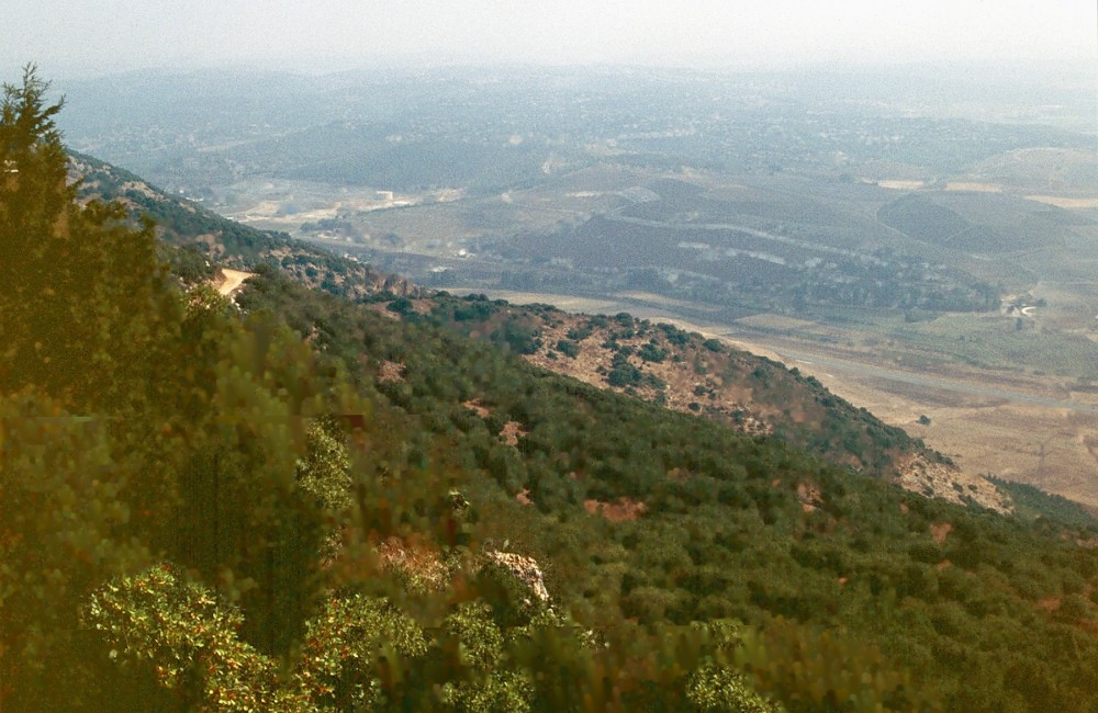 The Vale of Jezreel near Megiddo