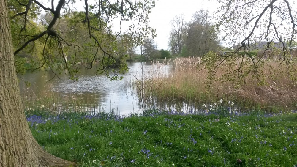 Still waters at Coughton Court