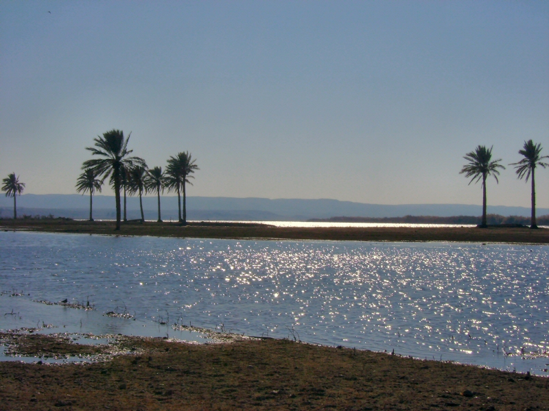 The Euphrates River in Iraq (Jayel Aheram)