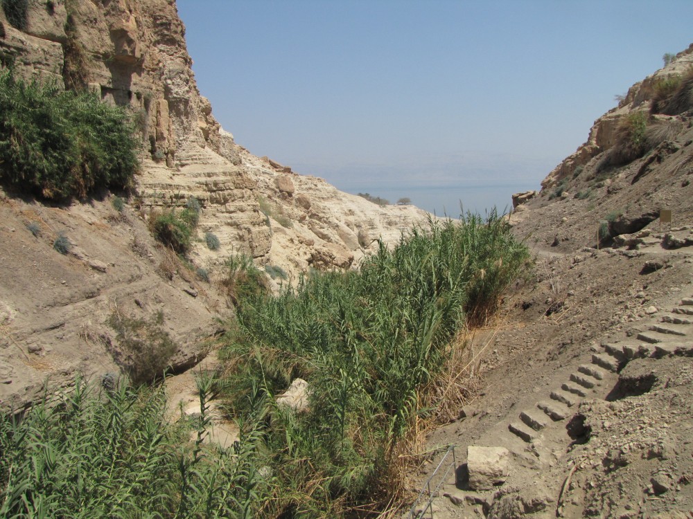 David river at En Gedi ( Ziko van Dijk )