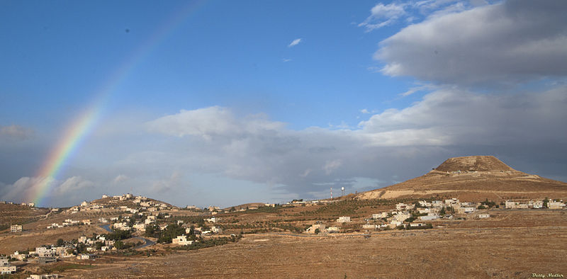 View of Herodium from Tekoa (Betty Nudler)