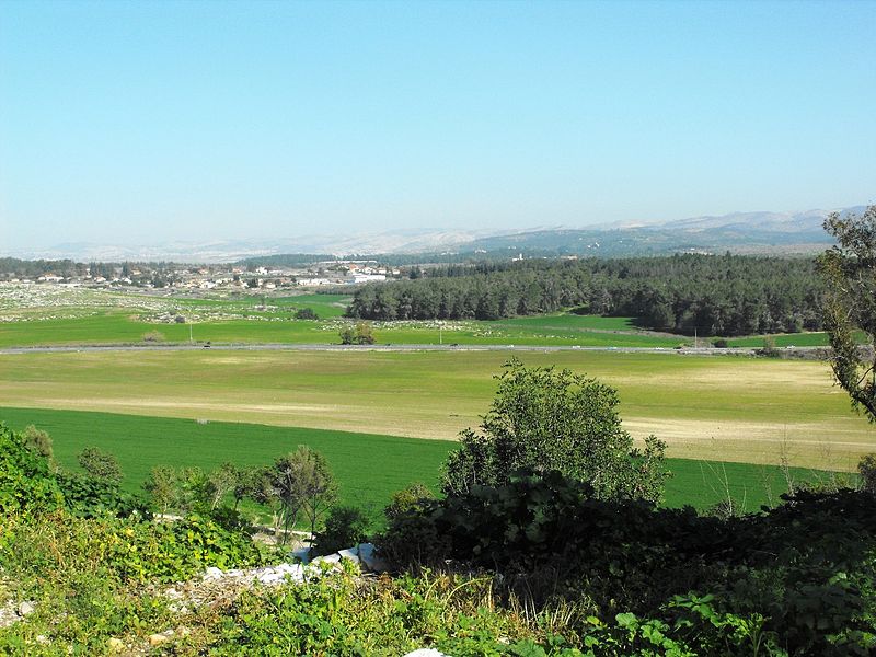 The Shephelah or Judean foothills (Ilana Shkolnik)