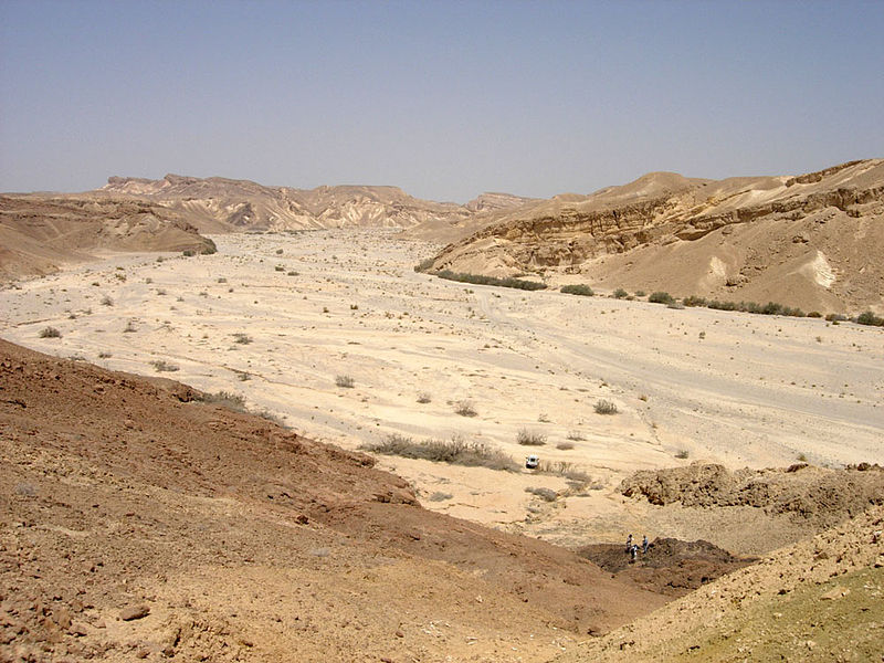 Wadi at Nachal Paran in the Negev desert of Israel (Mark A. Wilson)