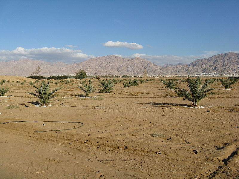 The Arabah & Edom Mountains (Batya ben zvi)