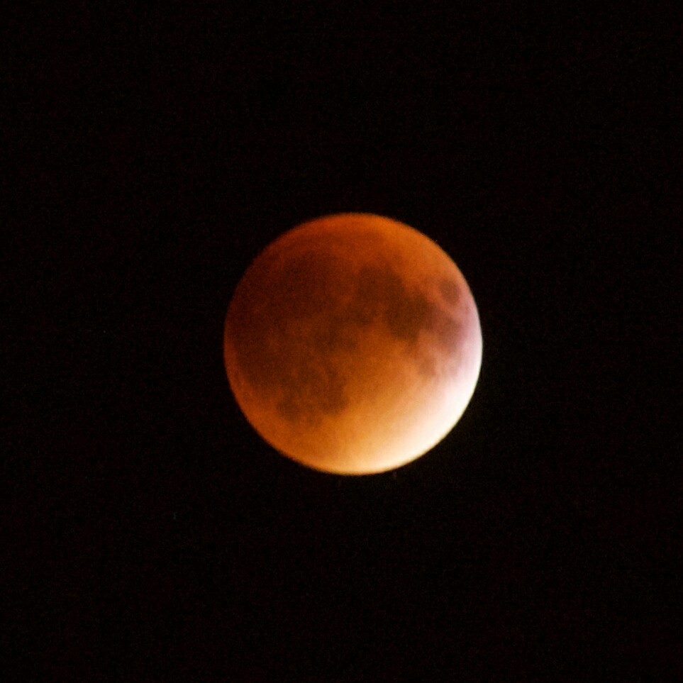 Lunar eclipse Blood Red Moon at Montreal on 27th September 2015 (Yang Cao)