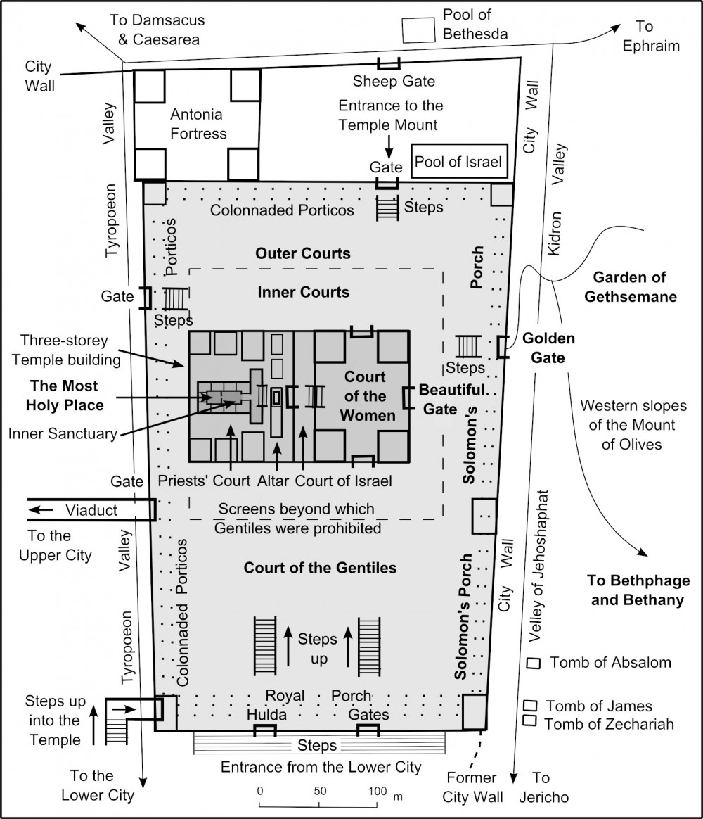 Levitical Sacrifices And Offerings Chart